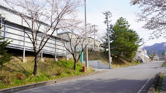 株式会社キョウエイ 桜